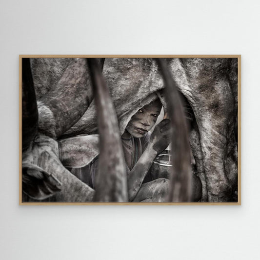 Mundari Child Milking a Cow-II - South Sudan by Joxe Inazio Kuesta Garmendia