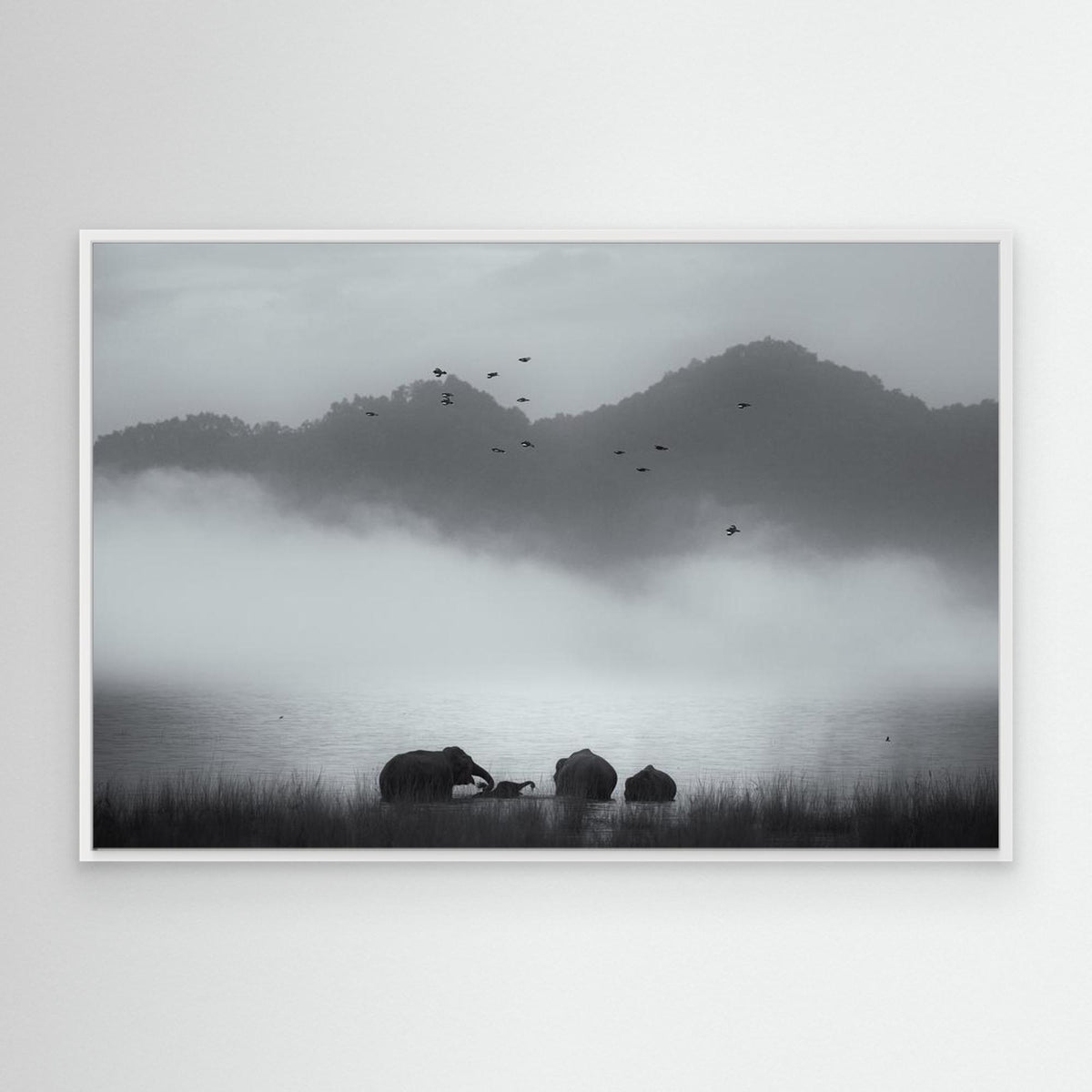 misty moments by Swapnil