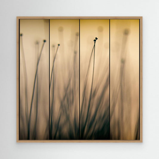 happy together ! by Swapnil