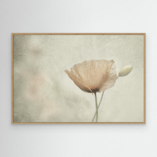 Jewel of nNature by Gilbert Claes