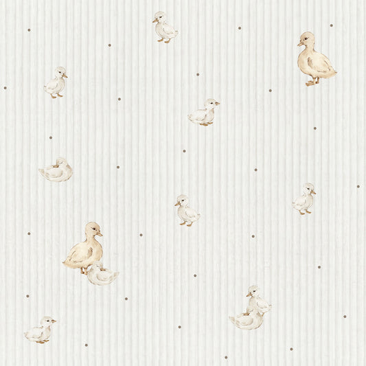 Ducklings cute Wallpaper
