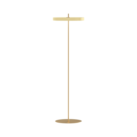 X SPECIAL MINDS Asteria Floor Lamp
