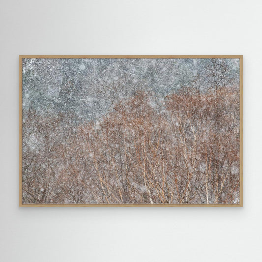 snowstorm by Swapnil