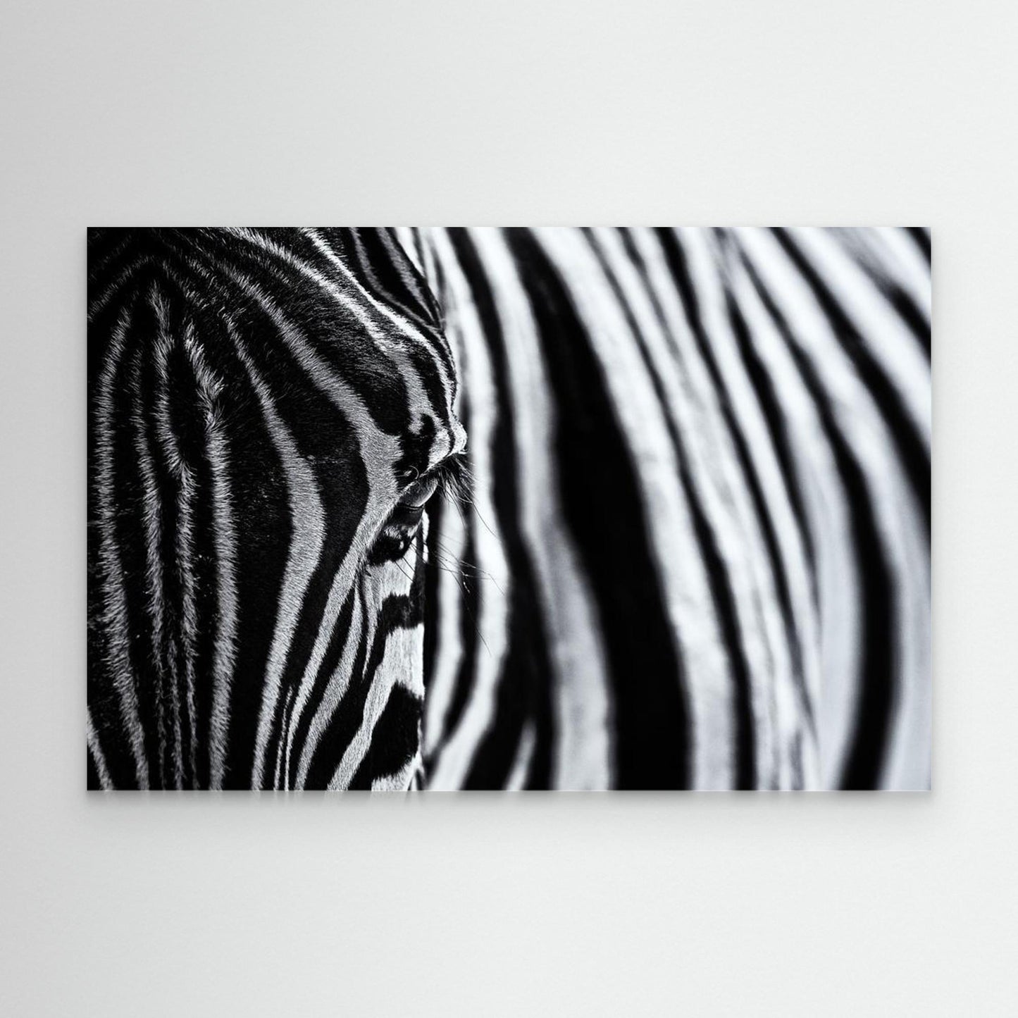 The look of nature by Marco Tagliarino