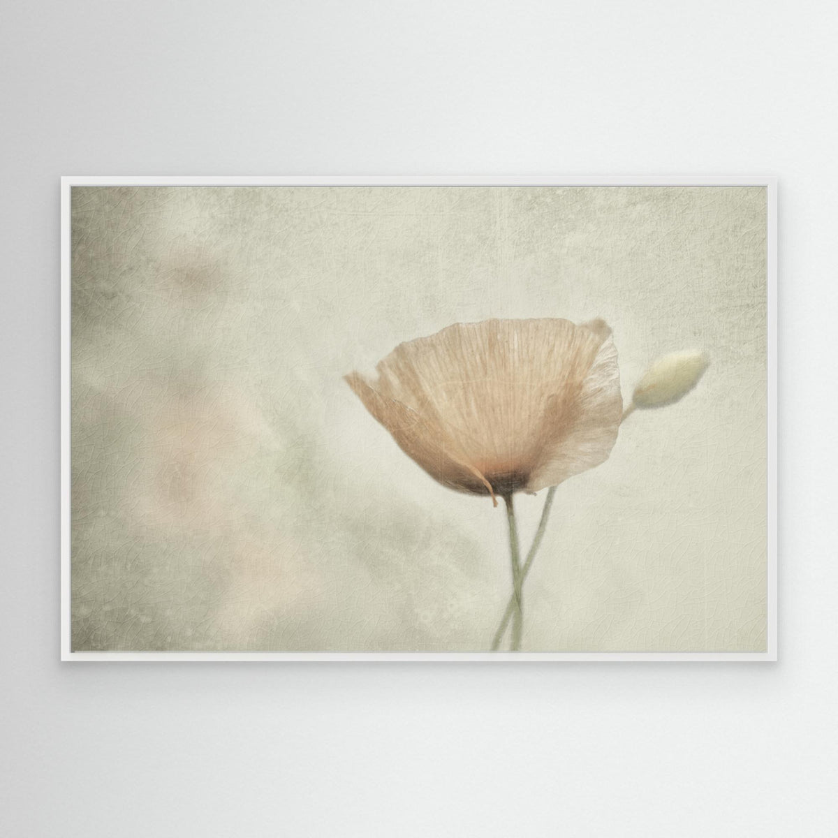 Jewel of nNature by Gilbert Claes