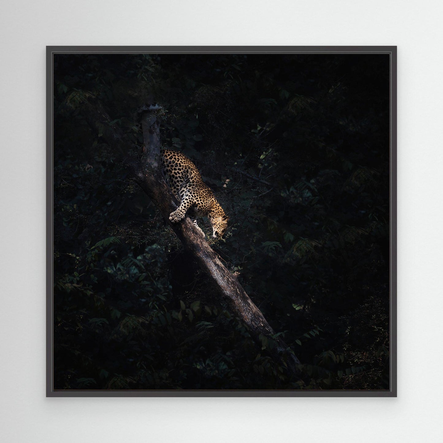 ghost and the darkness by Swapnil