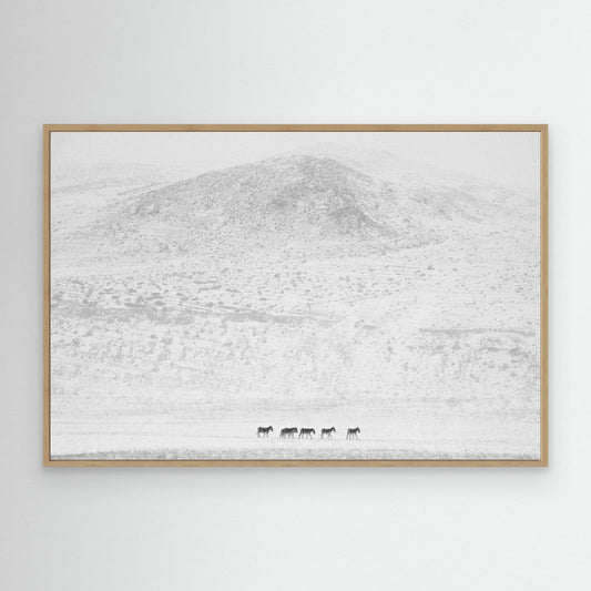 Winters… by Swapnil