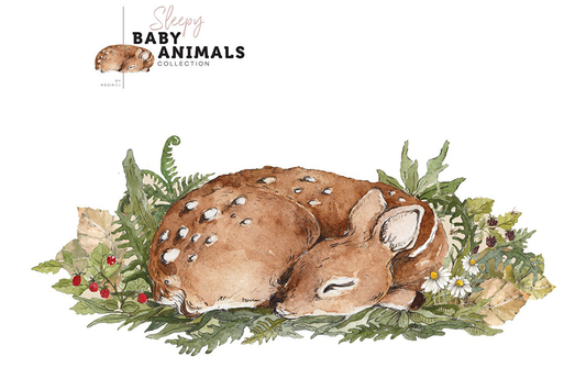 Wandtattoo Schlaf, mein kleines Reh