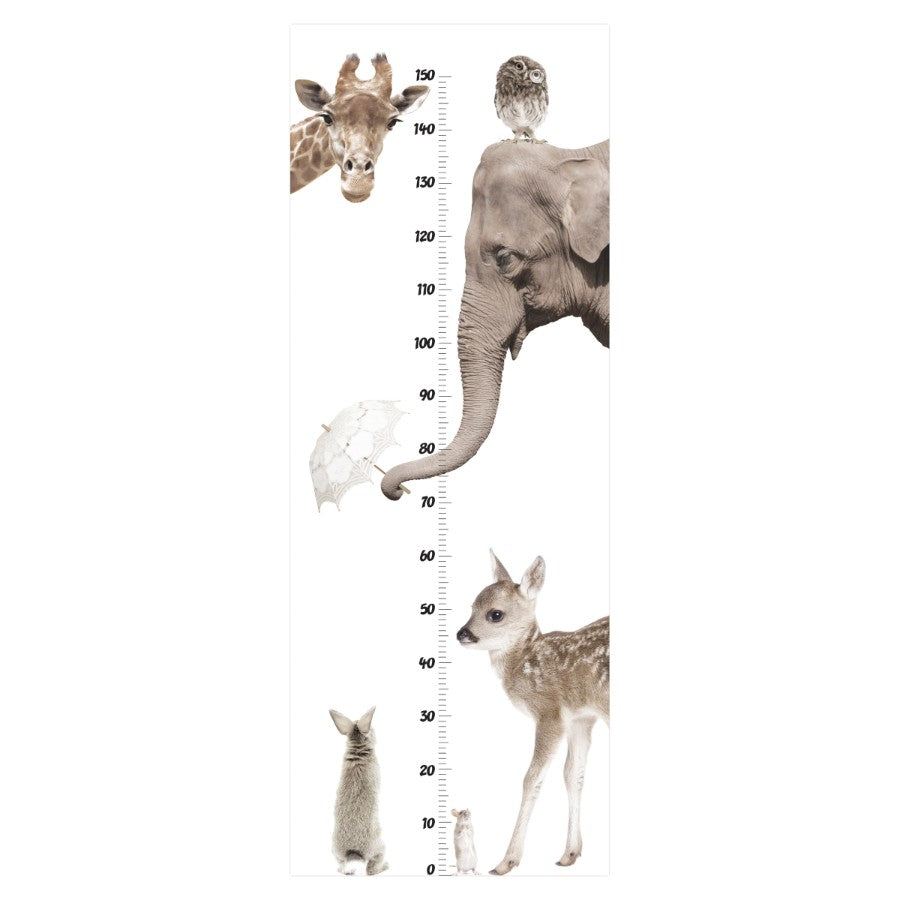 I Love Animals Growth Chart Wall Sticker