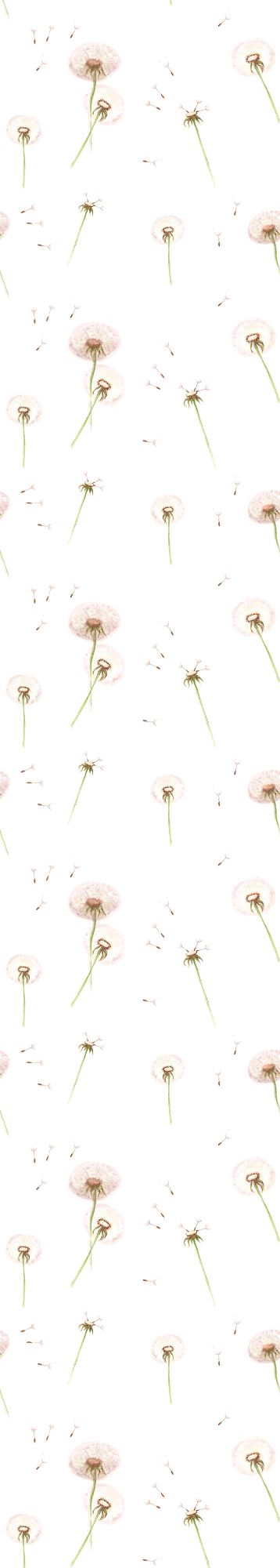 Löwenzahn Tapete 50x280CM