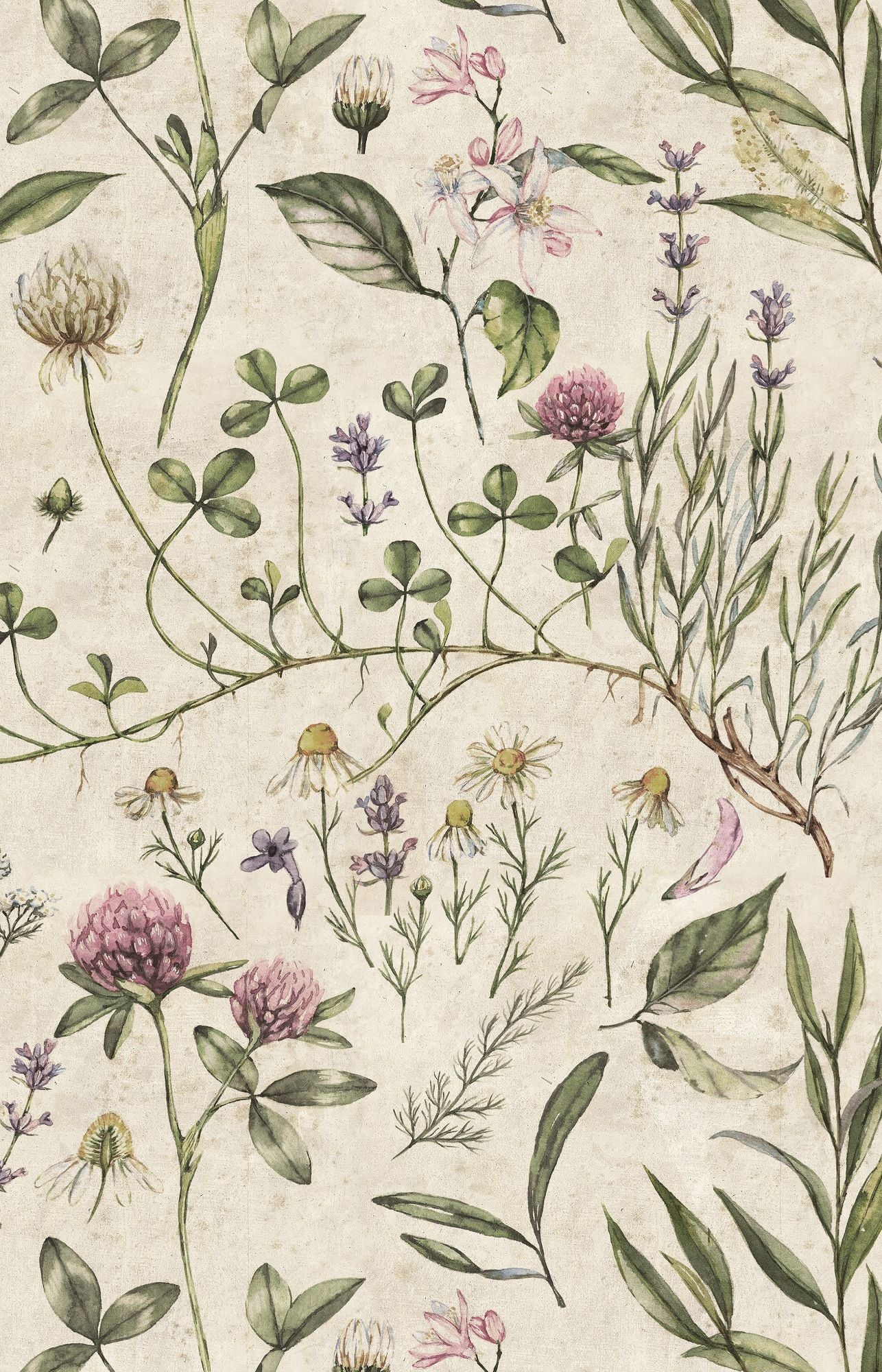 VINTAGE Botanic Illustration Wallpaper 100x280CM