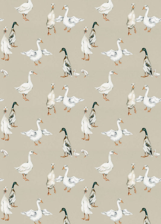WHITE Ducks Wallpaper 50x280CM