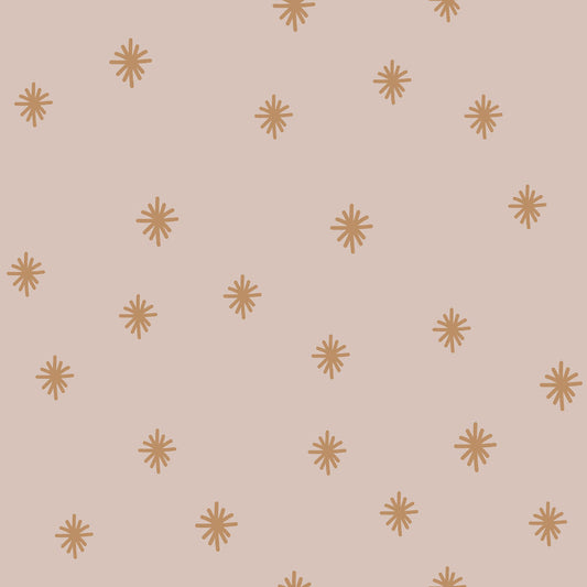 Irregulars Stars On Pastel Background Wallpaper 50x280CM