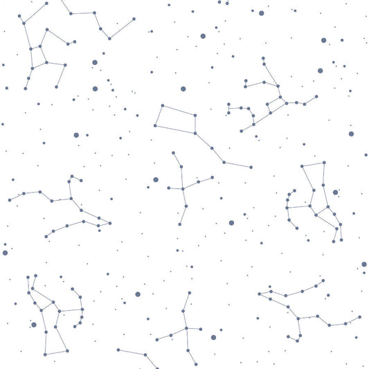 Cosmos White & Blue Wallpaper 50x280CM