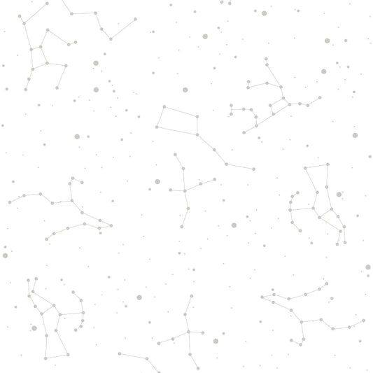 Cosmos White & Grey Wallpaper 50x280CM