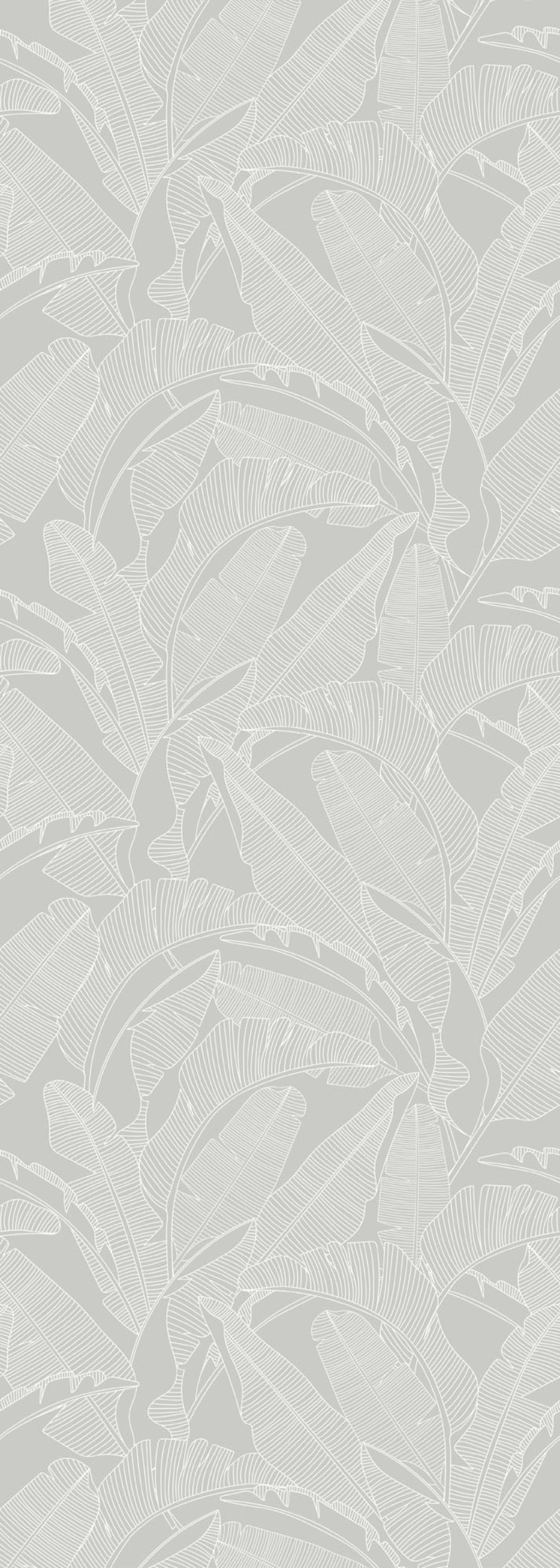 PALM LEAVES Grey Wallpaper 100x280CM