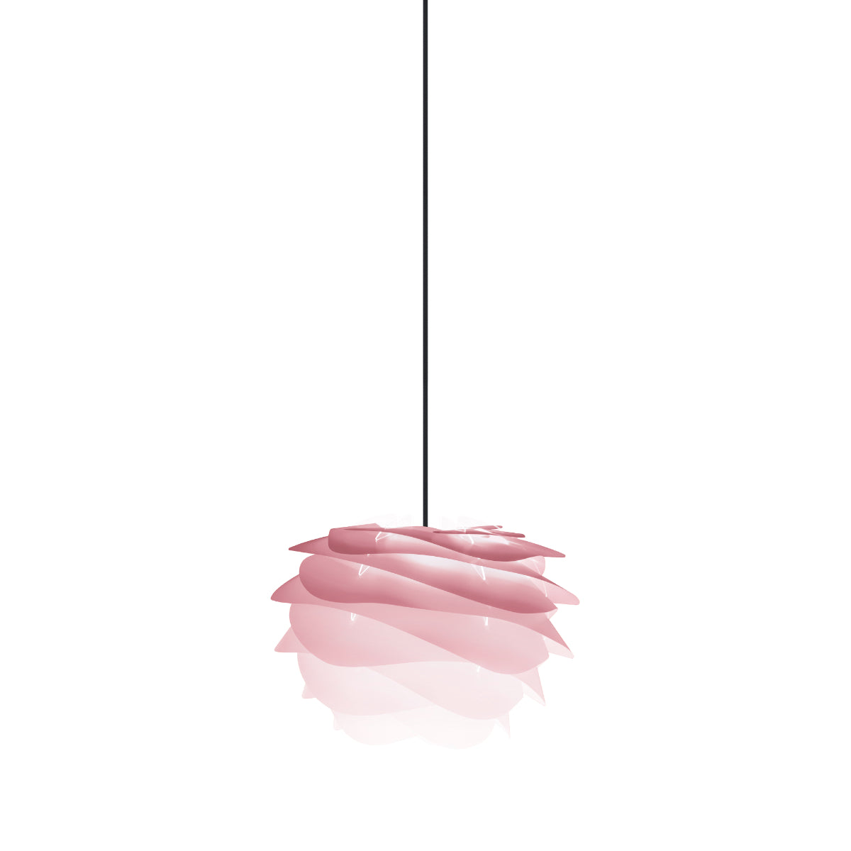 CARMINA Baby Rose Pendant Light