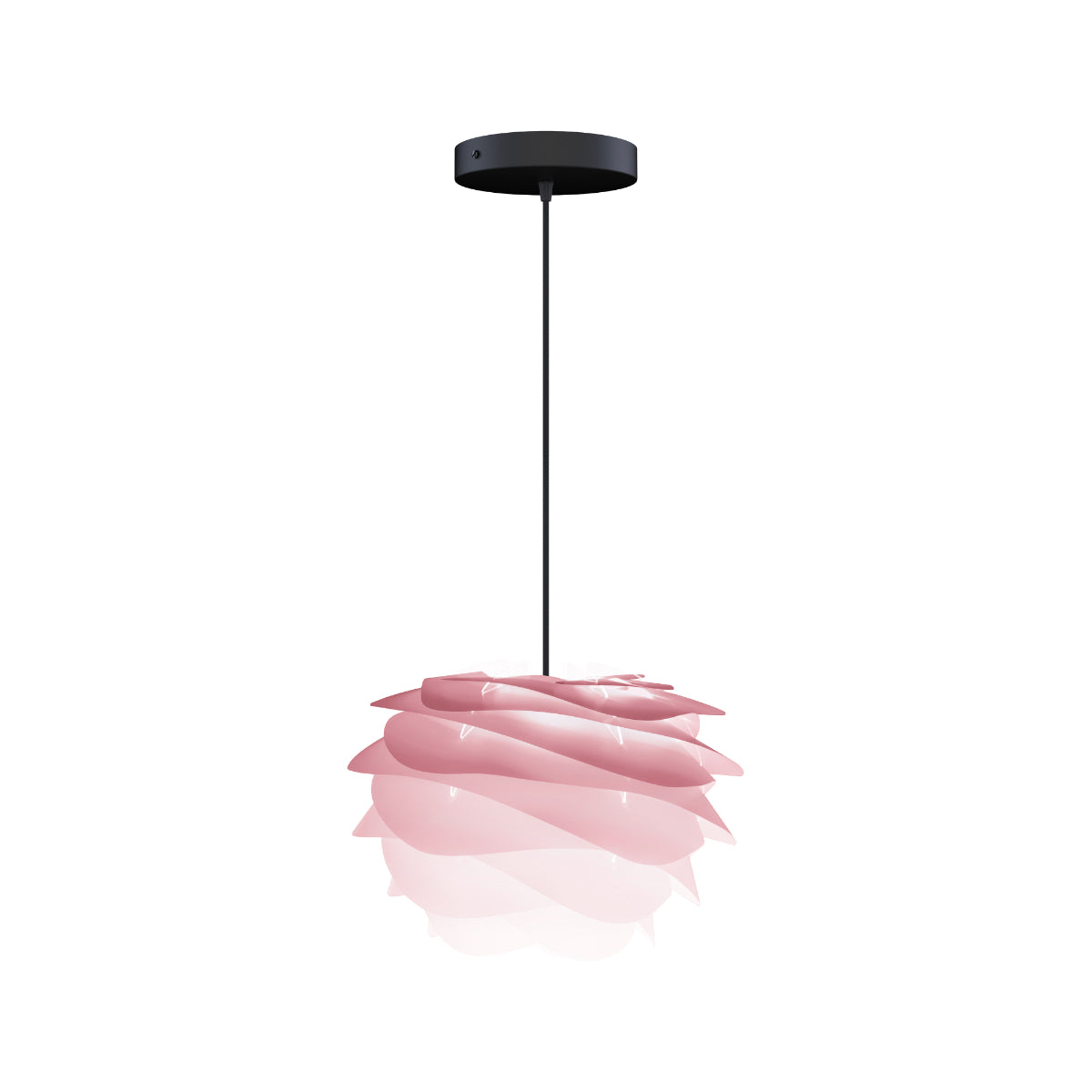 CARMINA Baby Rose Pendant Light