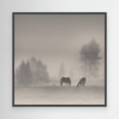 timeless moments by Swapnil