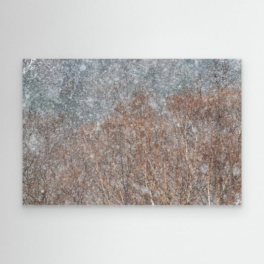 snowstorm by Swapnil