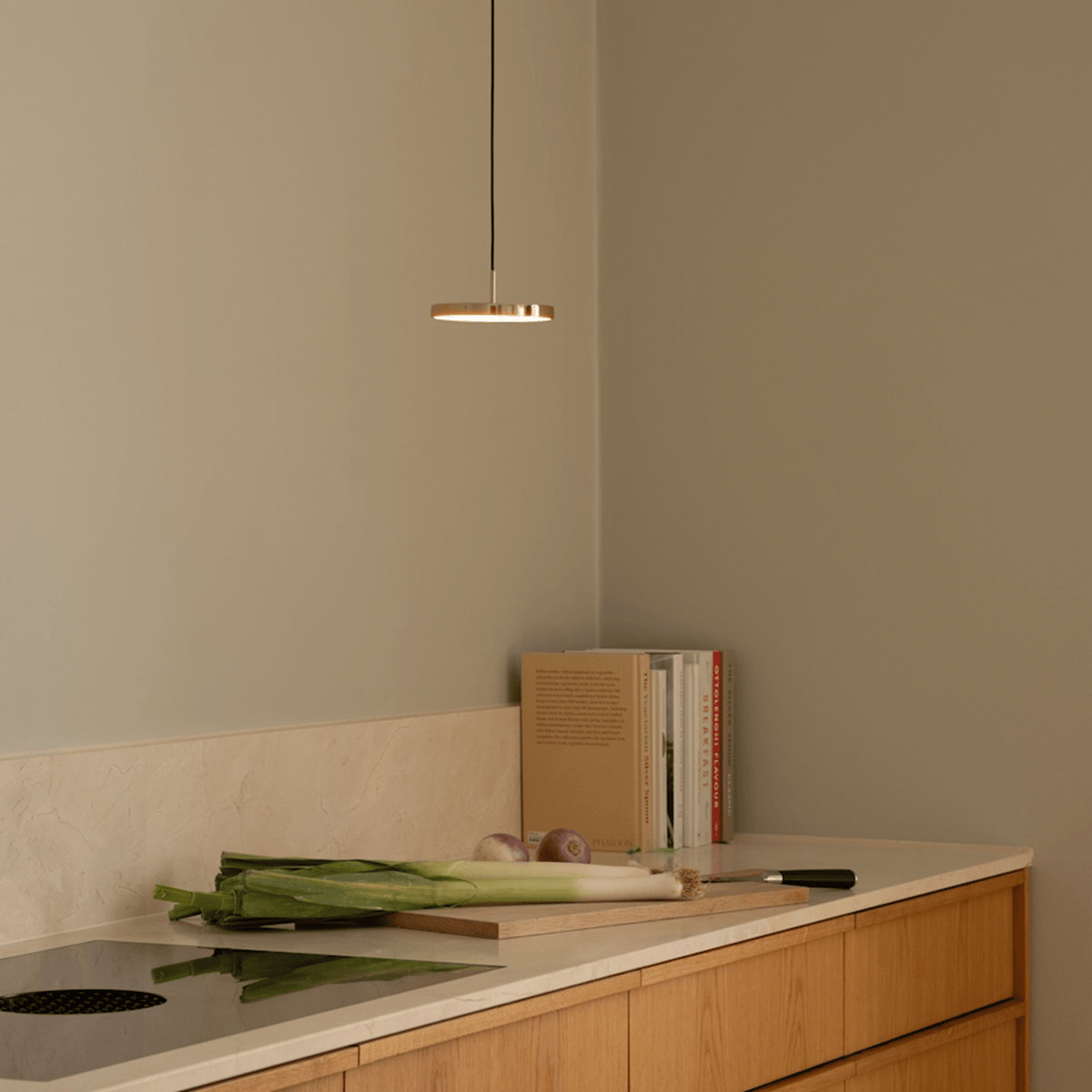 ASTERIA MICRO MONOCHROME Pendant Lamp
