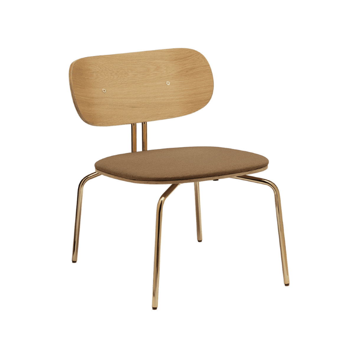 CURIOUS Lounge Chair