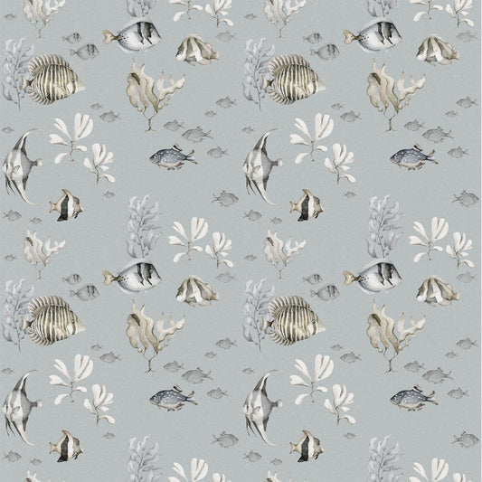 ColorFUL Fish Wallpaper