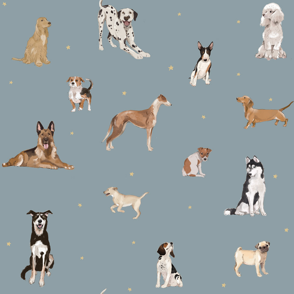 Dogs are The Best Blue Wallpaper