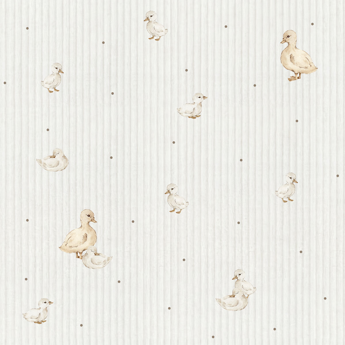 Ducklings cute Wallpaper