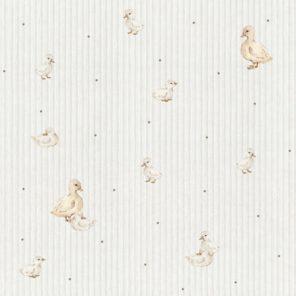 Ducklings cute Wallpaper