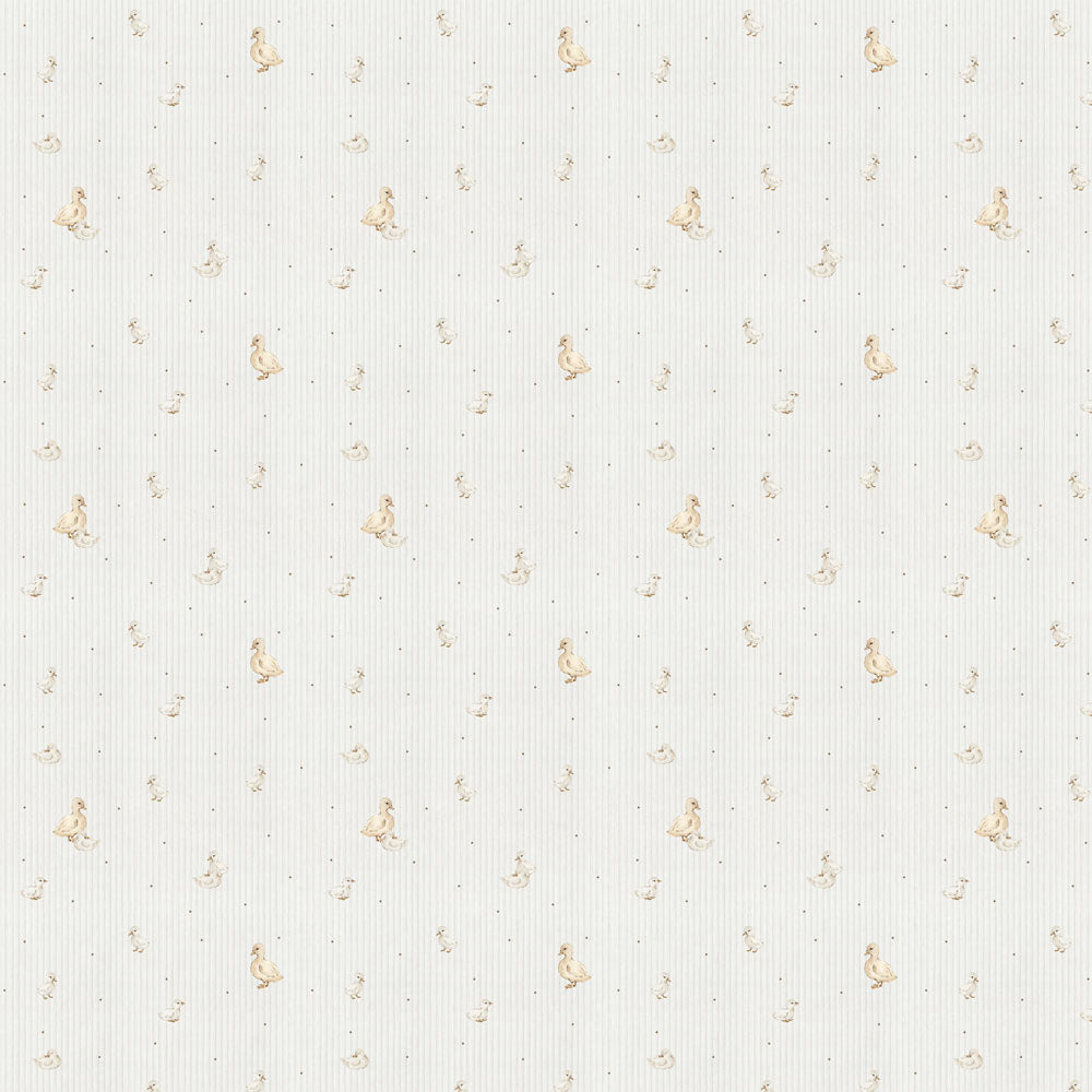 Ducklings cute Wallpaper
