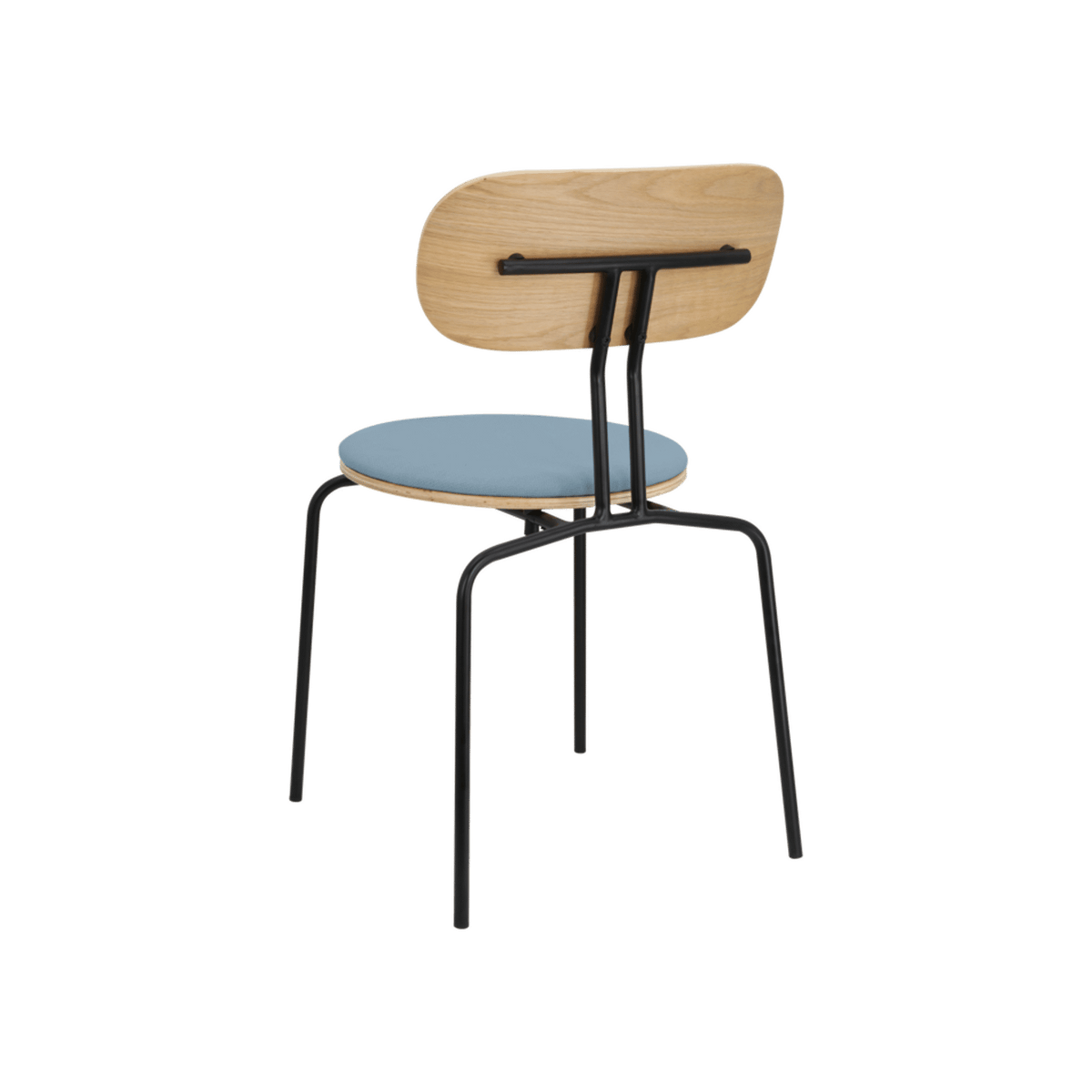 CURIOUS Dining Chair