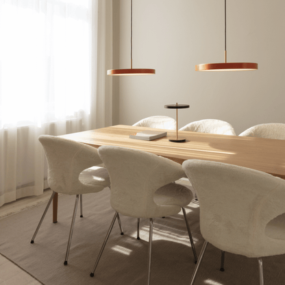 TIME FLIES Dining Chair