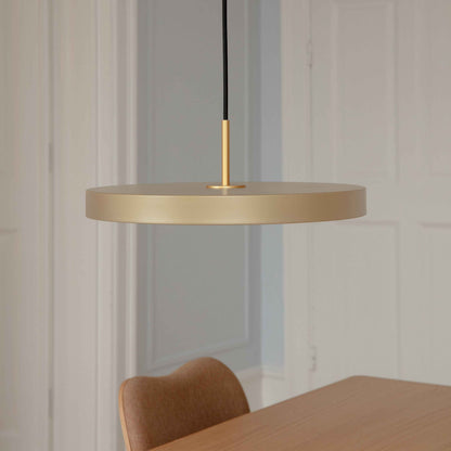 X SPECIAL MINDS Asteria Pendant Lamp