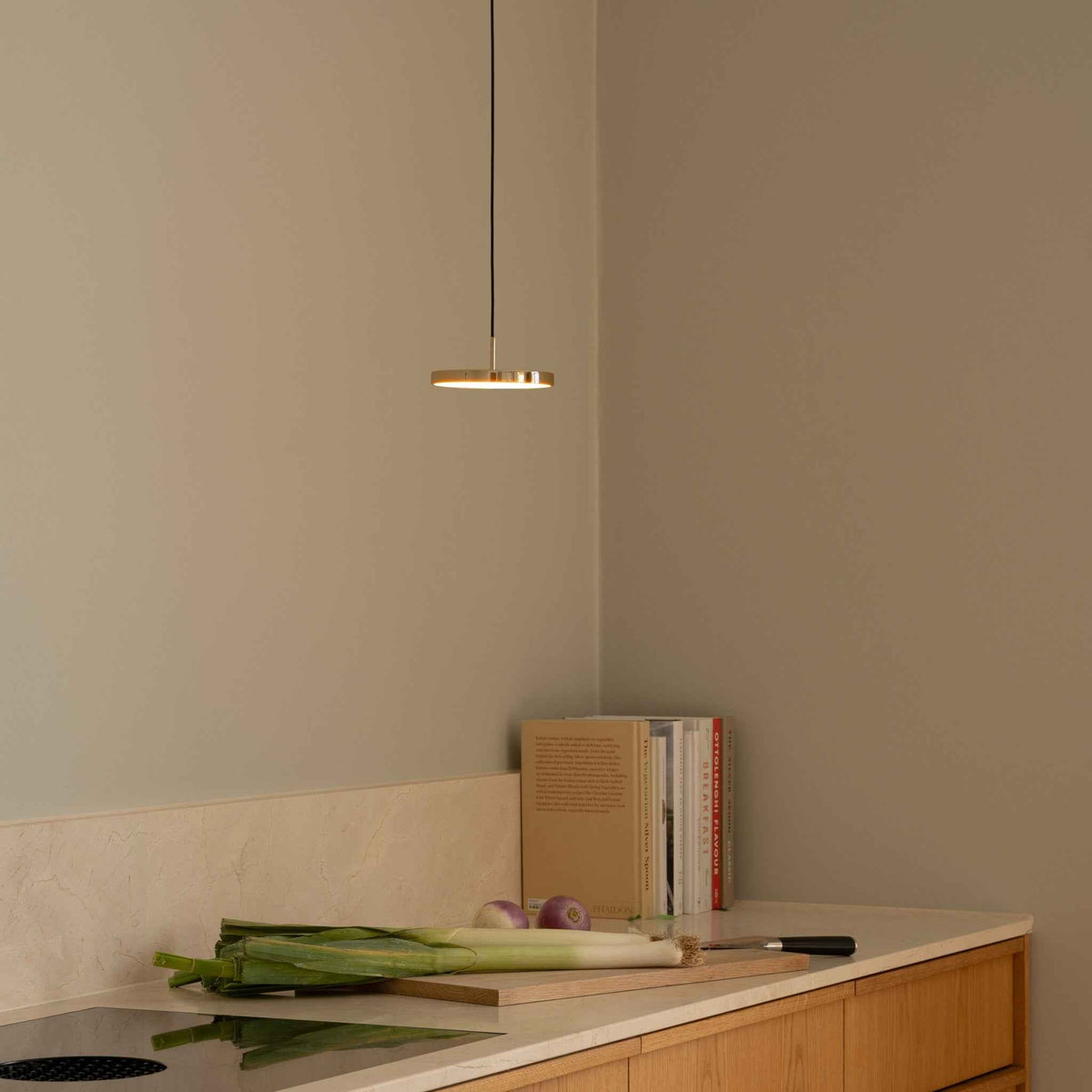 ASTERIA MICRO MONOCHROME Pendant Lamp
