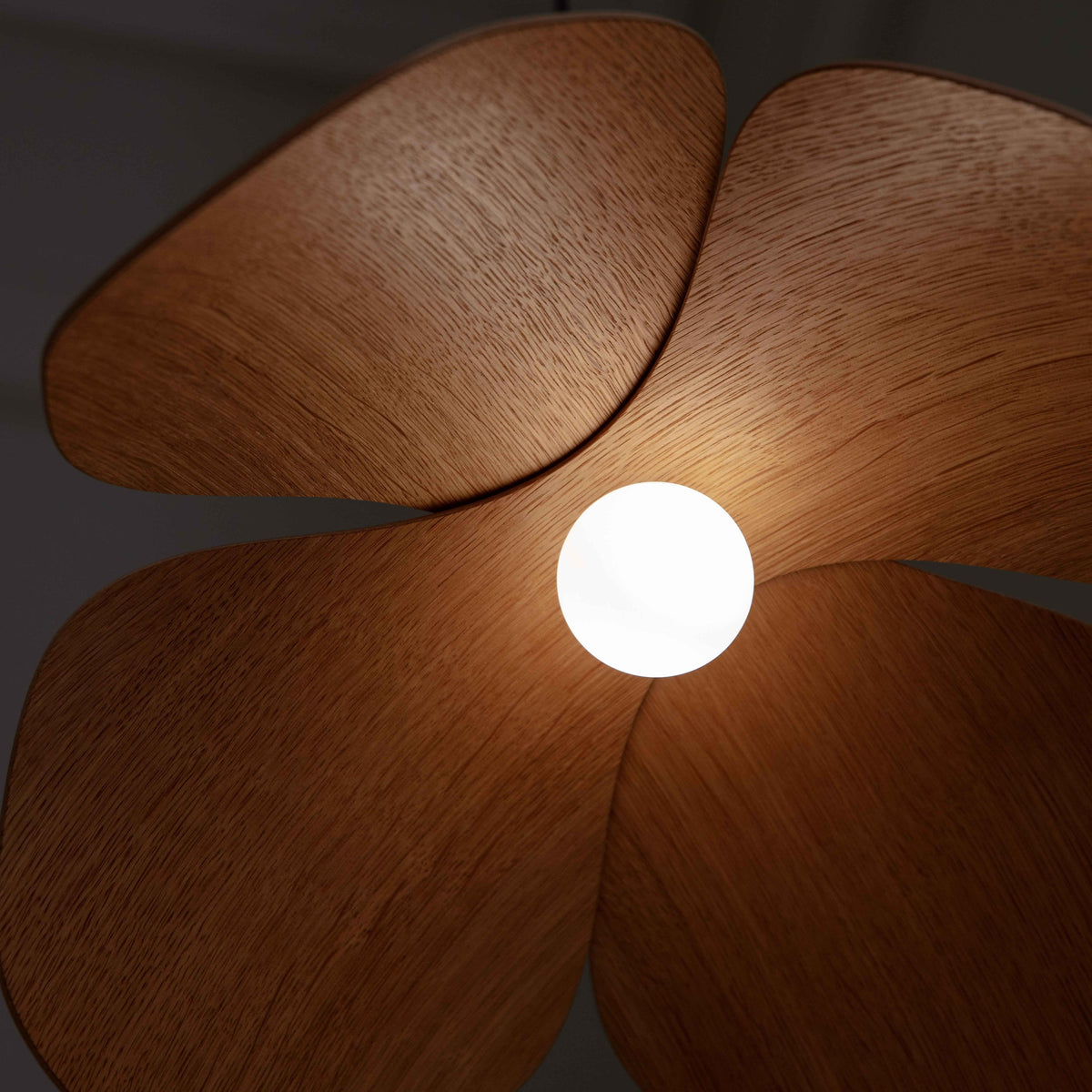 FORGET ME NOT CLUSTER 5 Lamp Set