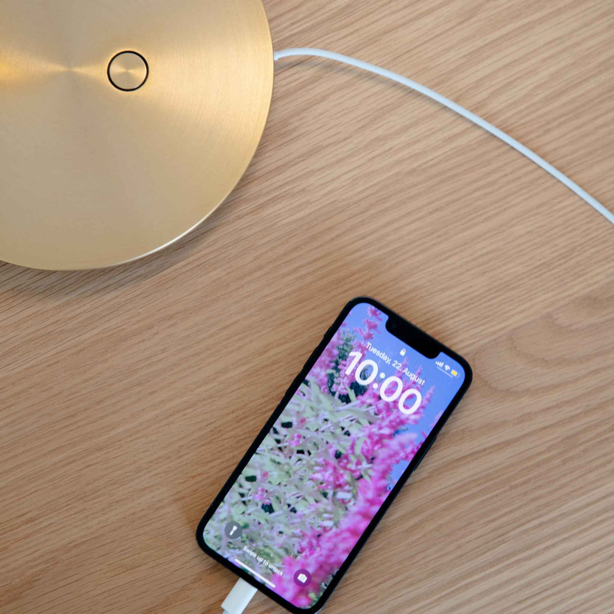 OMNI Table Lamp