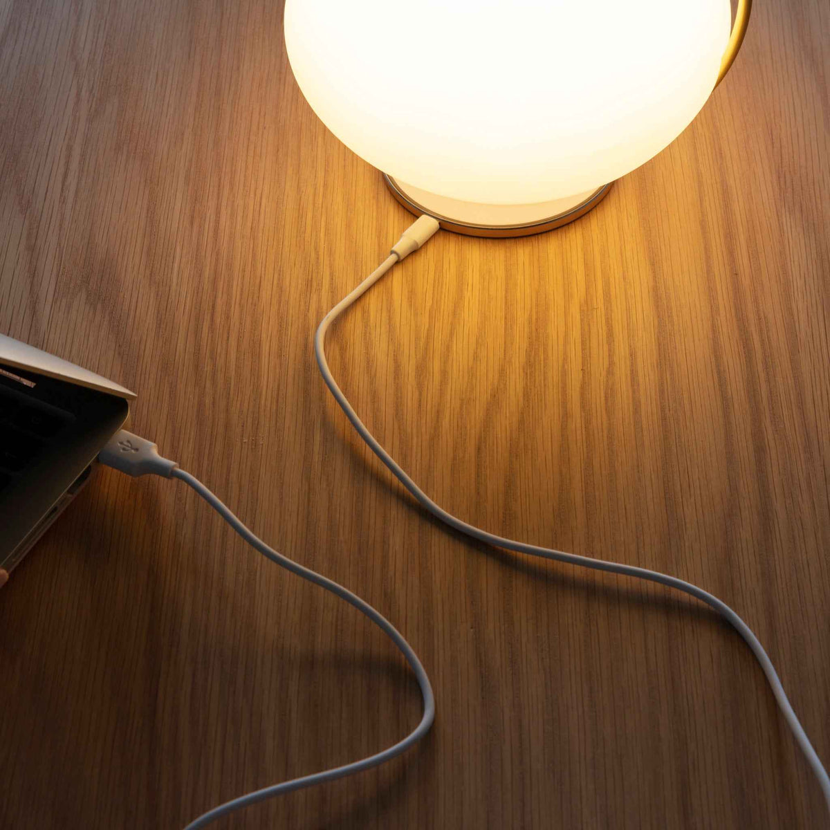 ORBIT Portable Lamp