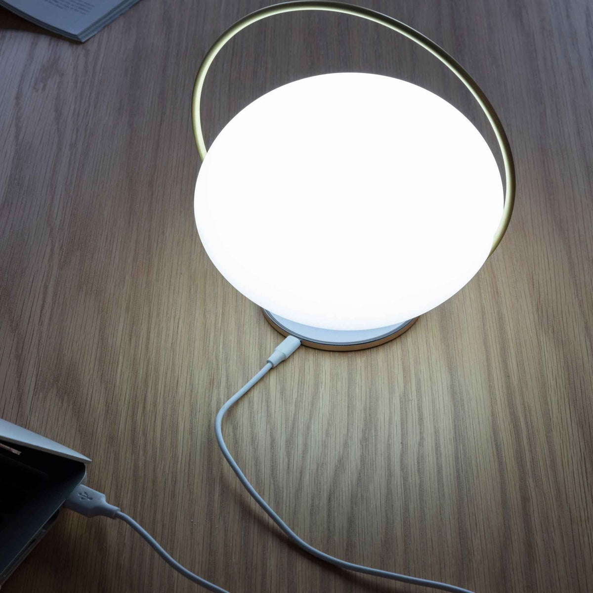 ORBIT Portable Lamp