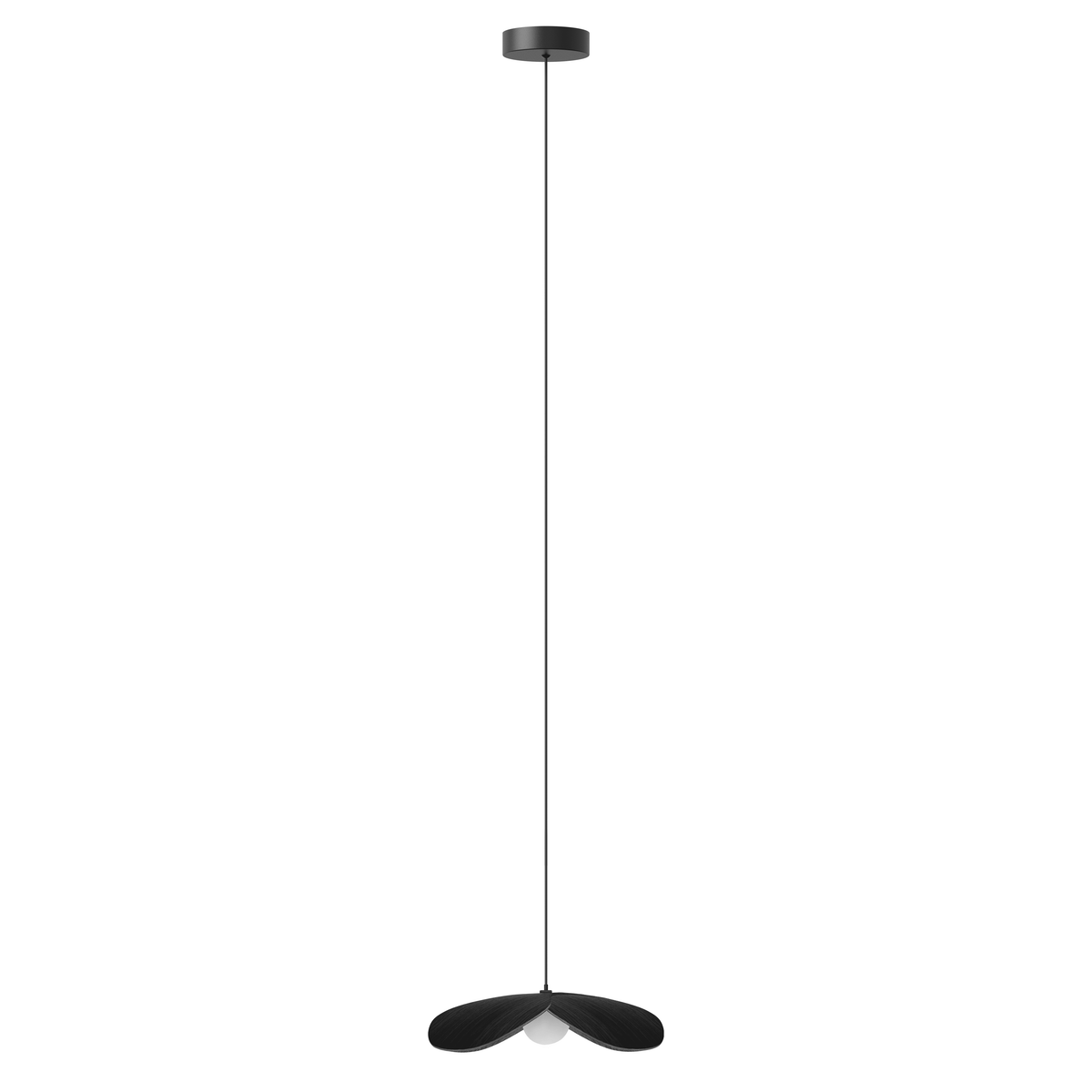 FORGET ME NOT SINGLE Lamp Set