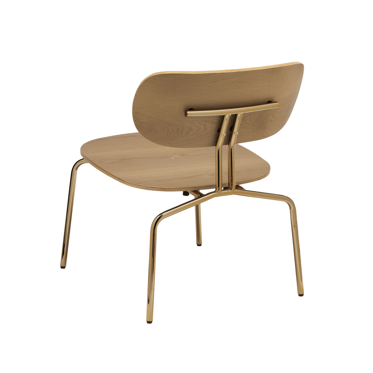 CURIOUS Lounge Chair