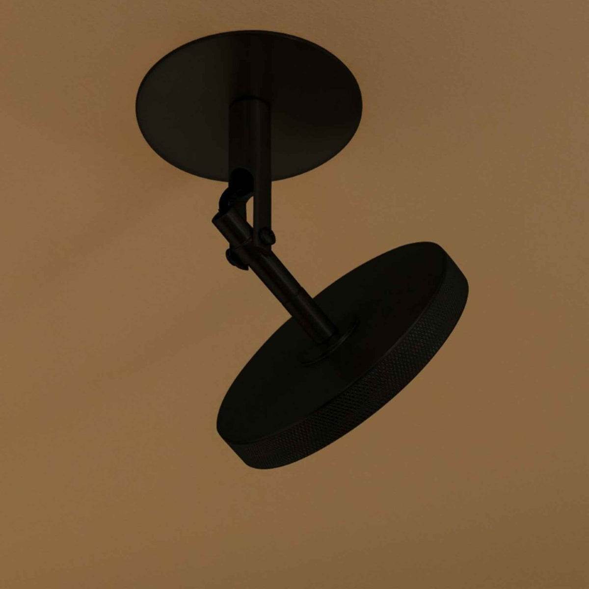 ASTERIA SPOT Wall/Ceiling Lamp