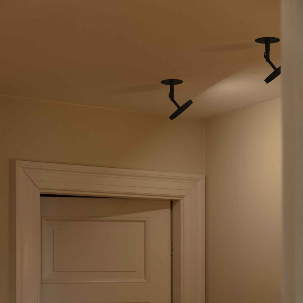 ASTERIA SPOT Wall/Ceiling Lamp
