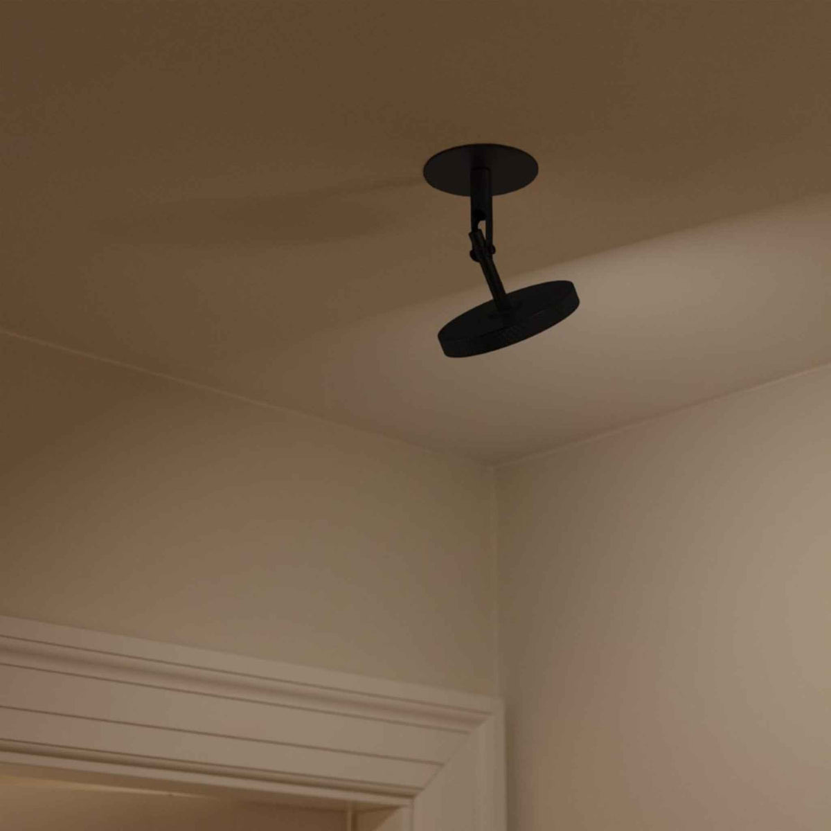 ASTERIA SPOT Wall/Ceiling Lamp