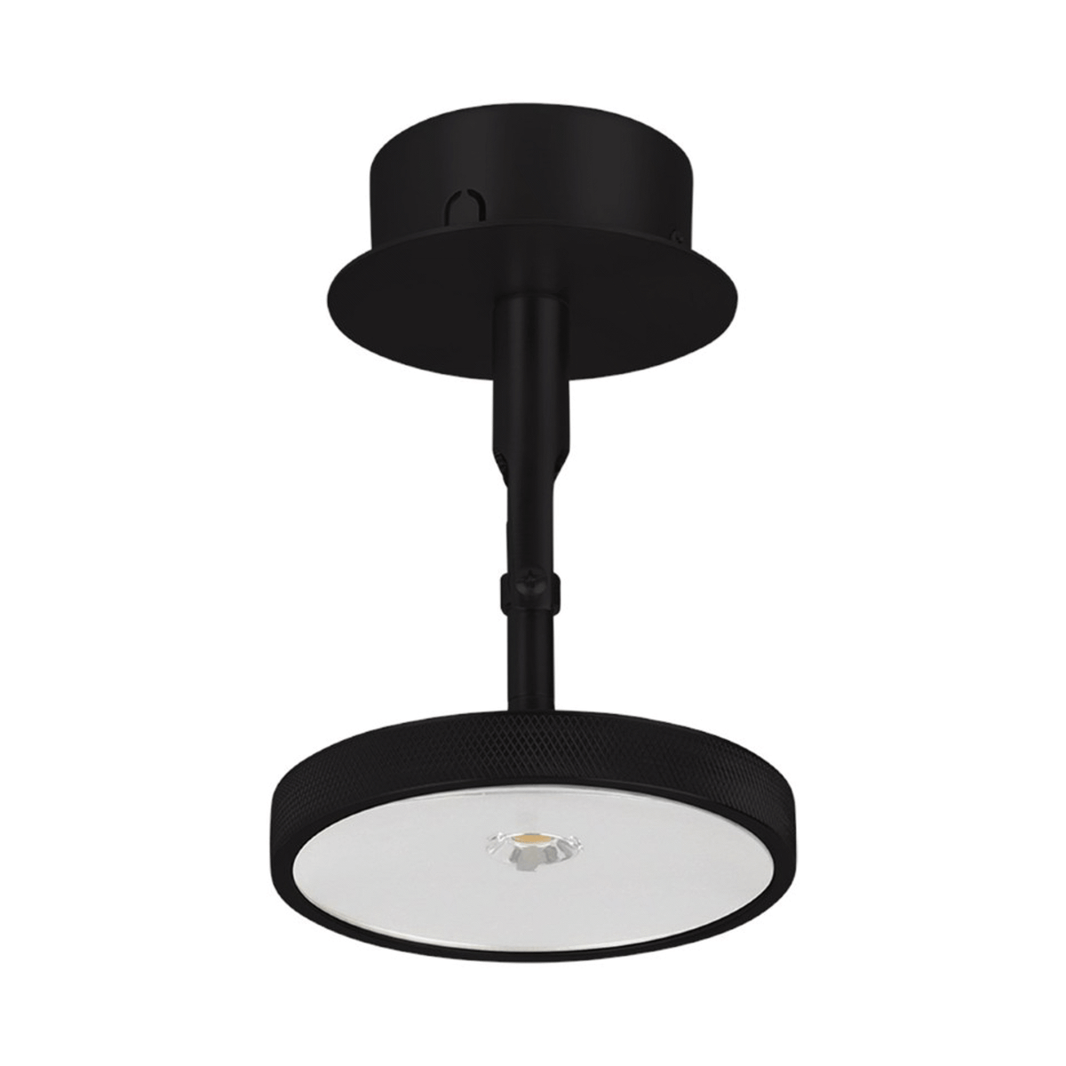 ASTERIA SPOT Wall/Ceiling Lamp