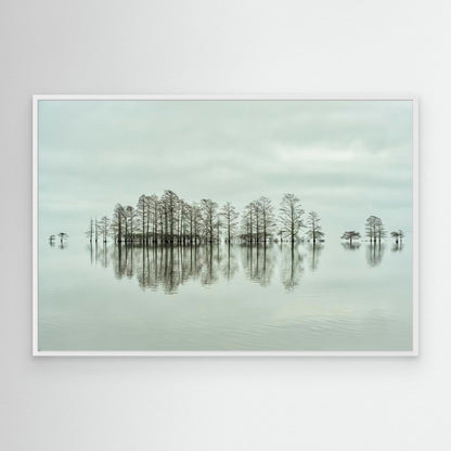 Lake-shore Lineup Beauty by Liyun Yu