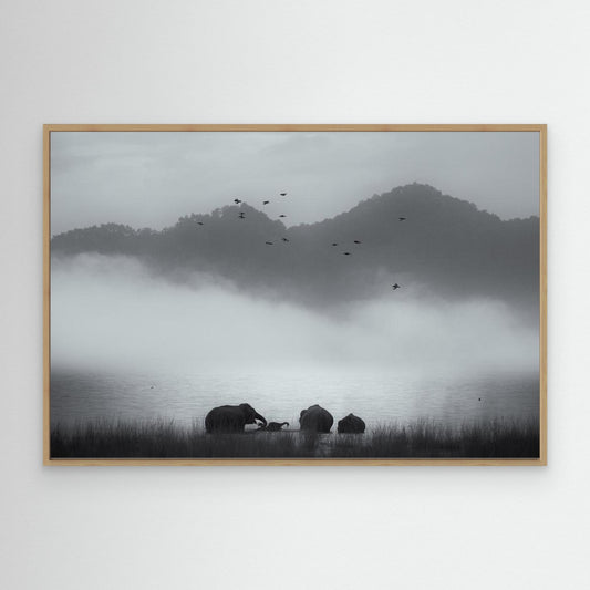 misty moments by Swapnil