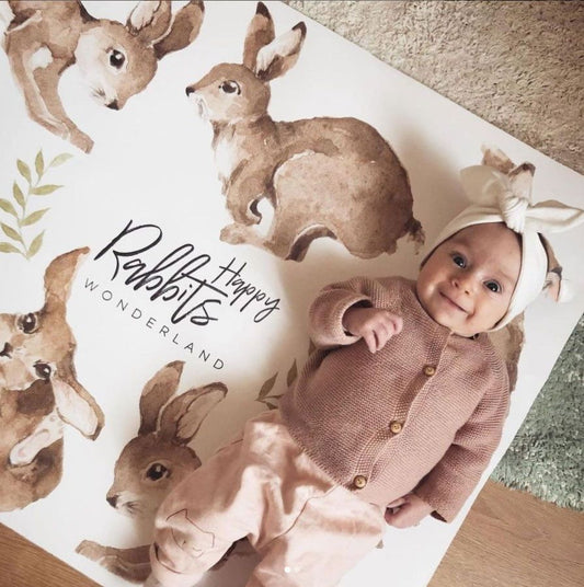 Happy Rabbits Wonderland Set
