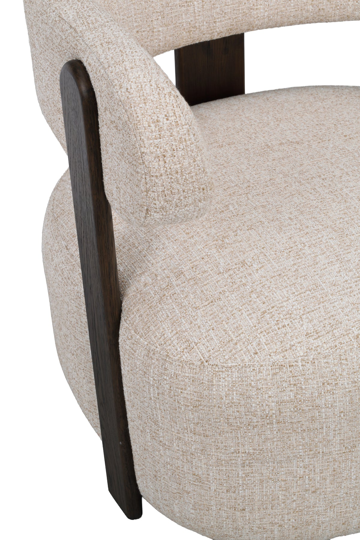 Jenison Lounge Chair