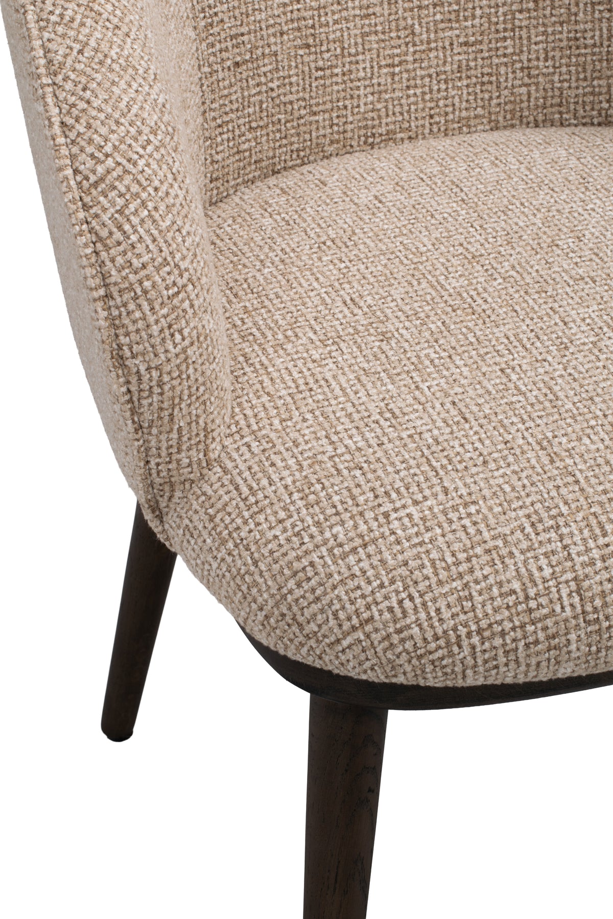 Judson Dining Armchair (Set of 2)